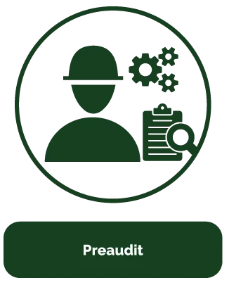 preaudit